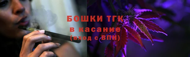 прущая мука Вяземский